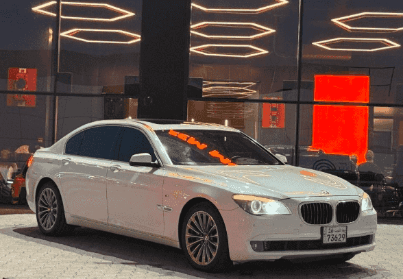 BMW 750 Li 2010 BMW 750 Li 2010